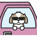 안산동물병원 이미지