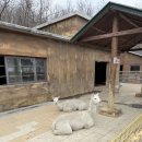 대련농장 이미지