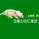 의견로 이미지