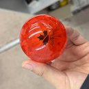 부부일랑 | 옥천 골프샵 미즈노 MG01 파크골프채 부부 구매 후기