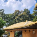 황토방 한정식 | 여주 맛집 황토방: 윤기 흐르는 여주 쌀밥과 구수한 청국장이 일품인 시골 밥상