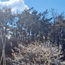 오류1리 이미지