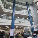 카이성형외과의원 | 우리동네 병원 정리 - 인도 푸네 동쪽