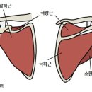 PT특별관 이미지