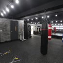 1994복싱 이미지