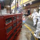 말바우 농장 이미지