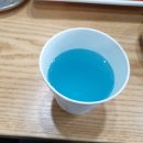 이것이코다리다 신호점