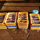 삼척번개시장 이미지