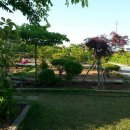 작은농장 이미지