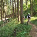 8월16일(토)원주 치악산 둘레길 걷기 (아흔 아홉골길과금대계곡) 이미지