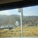 초리넝쿨마을 | 무주 썰매장 초리 꽁꽁놀이 축제다녀온 후기