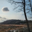 소원공인중개사사무소 이미지