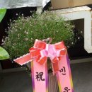 대성기공
