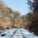 주봉농장 이미지