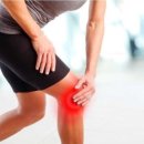 레몬트리짐 이미지