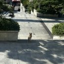 승학농장 이미지