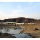 응봉공원 이미지