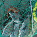 사량도 바다낚시터 이미지