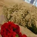 수채 담은, 붓 캘리그라피 이미지