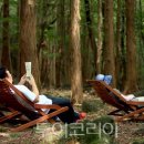 뉴서울불가마사우나 이미지