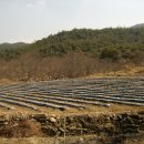 옥동농장 이미지