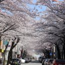 하슬라로 이미지