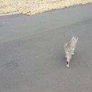 창흥동해수욕장 이미지