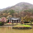 사천리광장 Daum카페