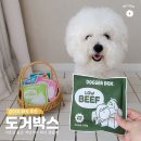 저단50 | 강아지 화식 도거박스 저단저지, 기호성 좋은 저지방 사료