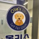 올리스 남양주별내점 이미지