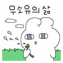 멜리아(melia)
