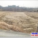 모심마을회관 네이버블로그