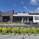 한정식 소나무 앞 이미지