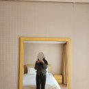 (주)그린피아 | 모나용평 그린피아 | 스키시즌시작 마운틴뷰 / 슬로프뷰 비교 후기