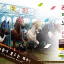 2015년 렛츠런파크제주 노을경마 행사 (7월 10일 ~ 8월 30일) 이미지