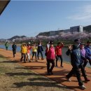 행복발전소