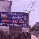 이의종동물병원 이미지