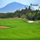 한창로 | 제주 테디밸리cc 부킹 명문 제주도 골프장 후기