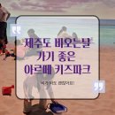 아르떼5 | 제주 아르떼키즈파크 후기｜5살 아이랑 비오는 날 갈만한 제주 실내 놀거리 추천