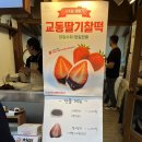 대룡농장 | 인천 강화도 대룡시장 쫀득한 과일찰떡 모찌 디저트 안례찰떡 후기