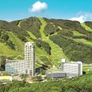 모두의 댕댕이 이미지