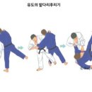 본  주짓수 유도 이미지
