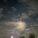 세븐일레븐 인왕점 이미지