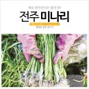 전주미나리 이미지