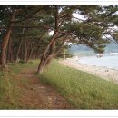 지리해수욕장 이미지