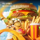 올데이펫 이미지