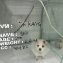 동물병원 더 메이 네이버블로그
