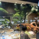 안면도쥬라기박물관 이미지