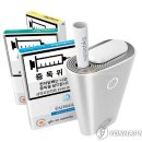담배 매일경제
