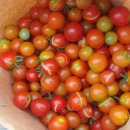 시흥1동 주민센터 이미지